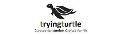 TryingTurtle